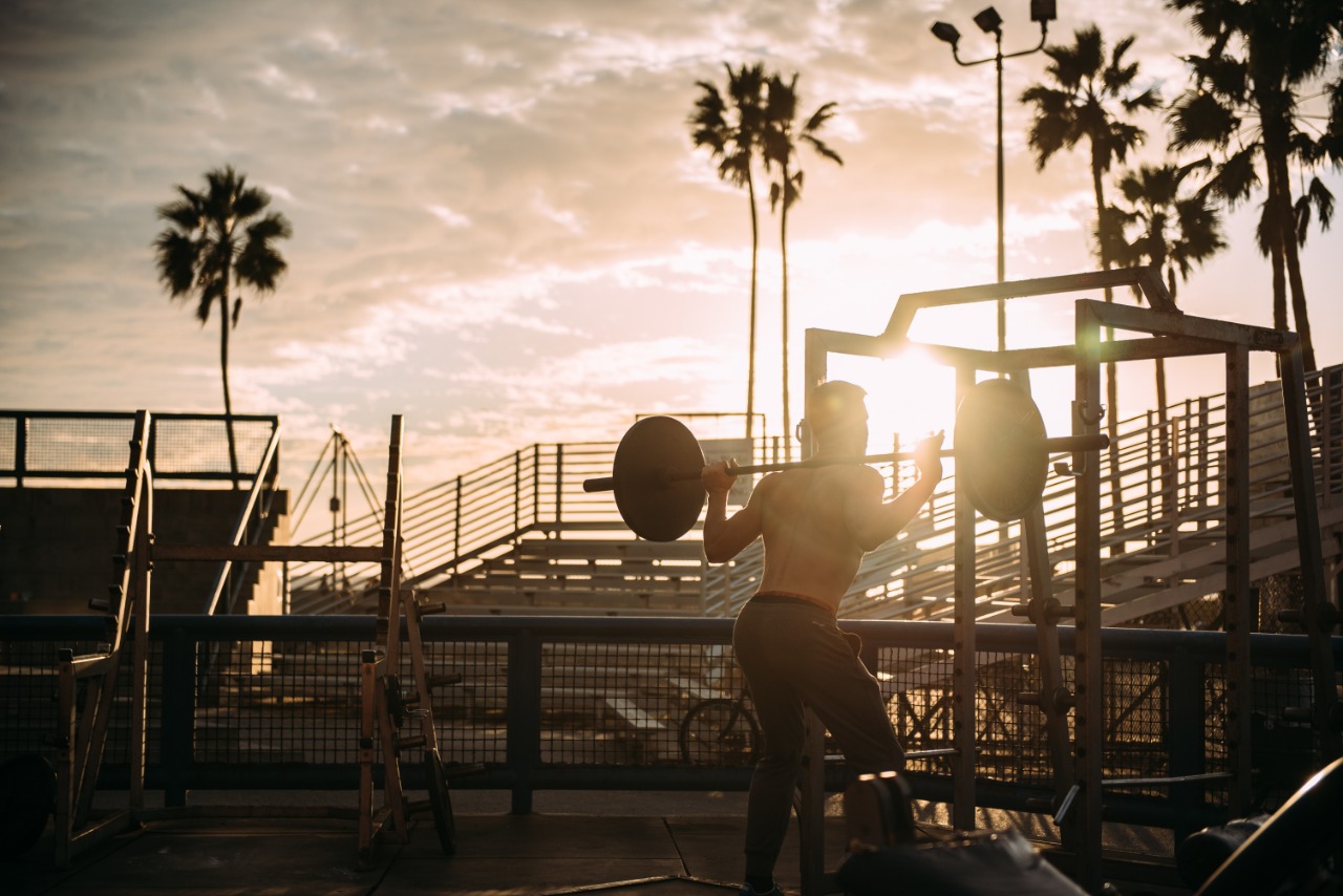 Fitness Gears