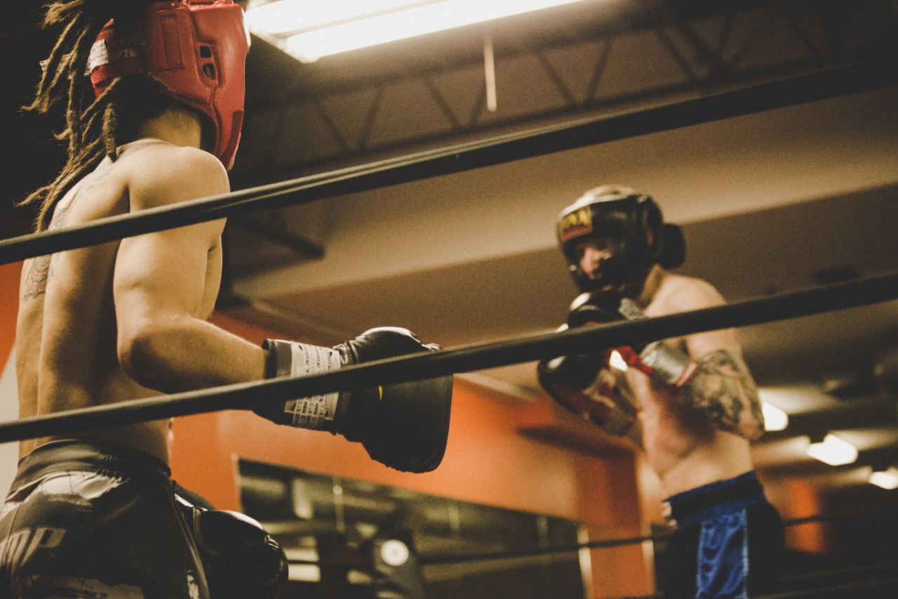 Boxing/MMA Gears